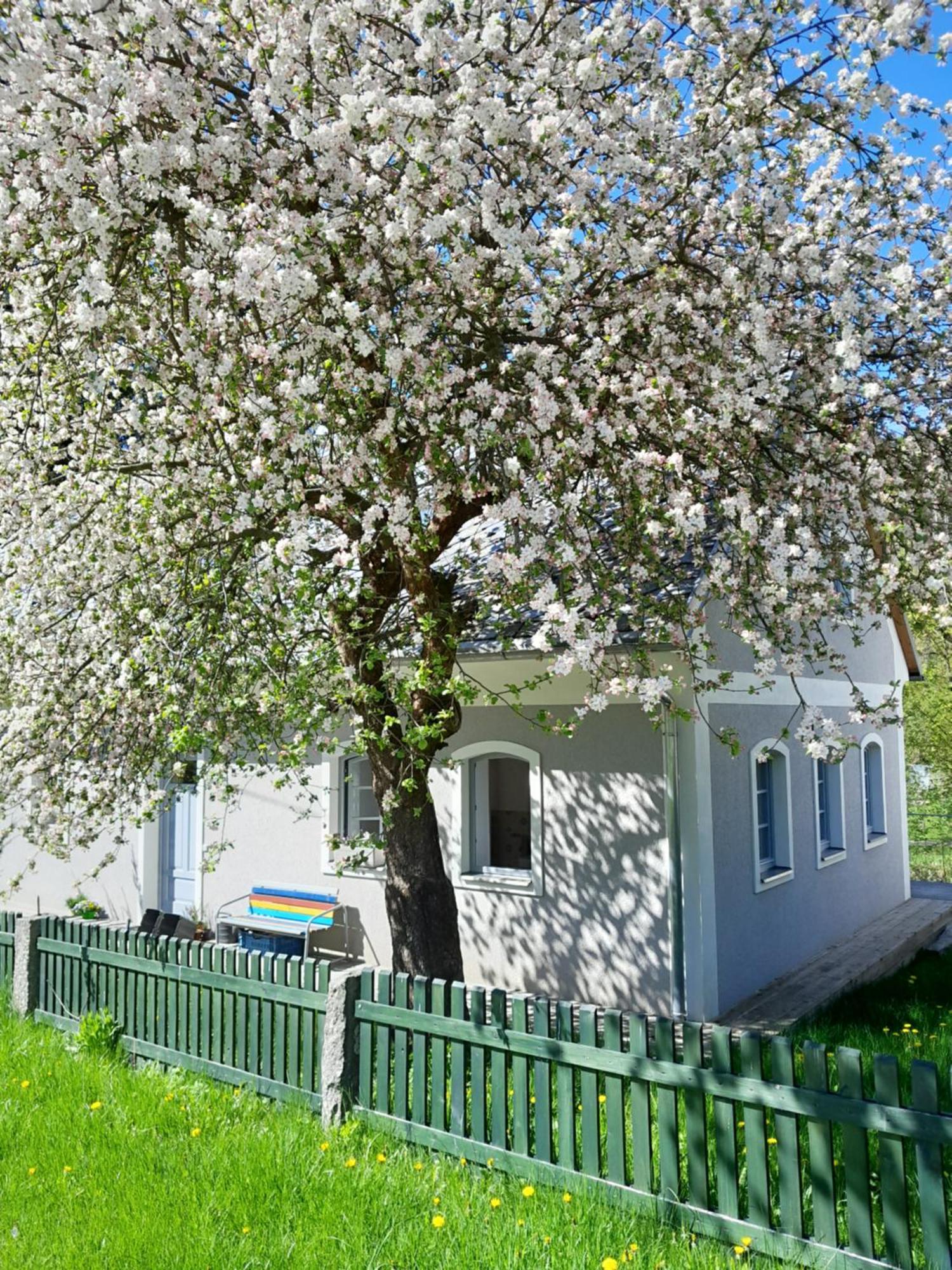 Oldrichov 125 Villa